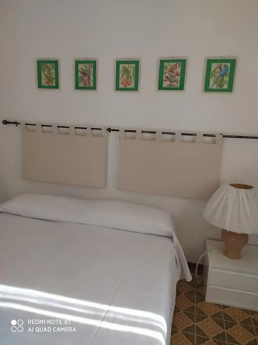 Cute Apartment 100 Mt From The Beach! 丽都阿德里亚诺