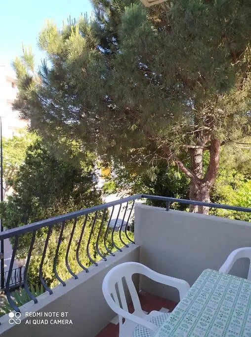 Cute Apartment 100 Mt From The Beach! 丽都阿德里亚诺